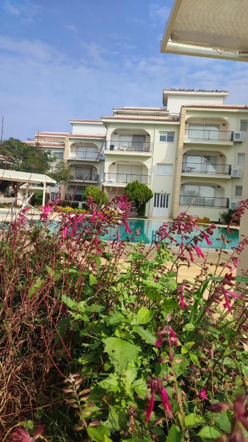 Fantastic 4 Cyprus First Line Beachfront Boghaz المظهر الخارجي الصورة